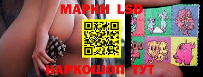 стаф Бугуруслан