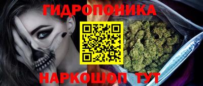 шишки Бузулук